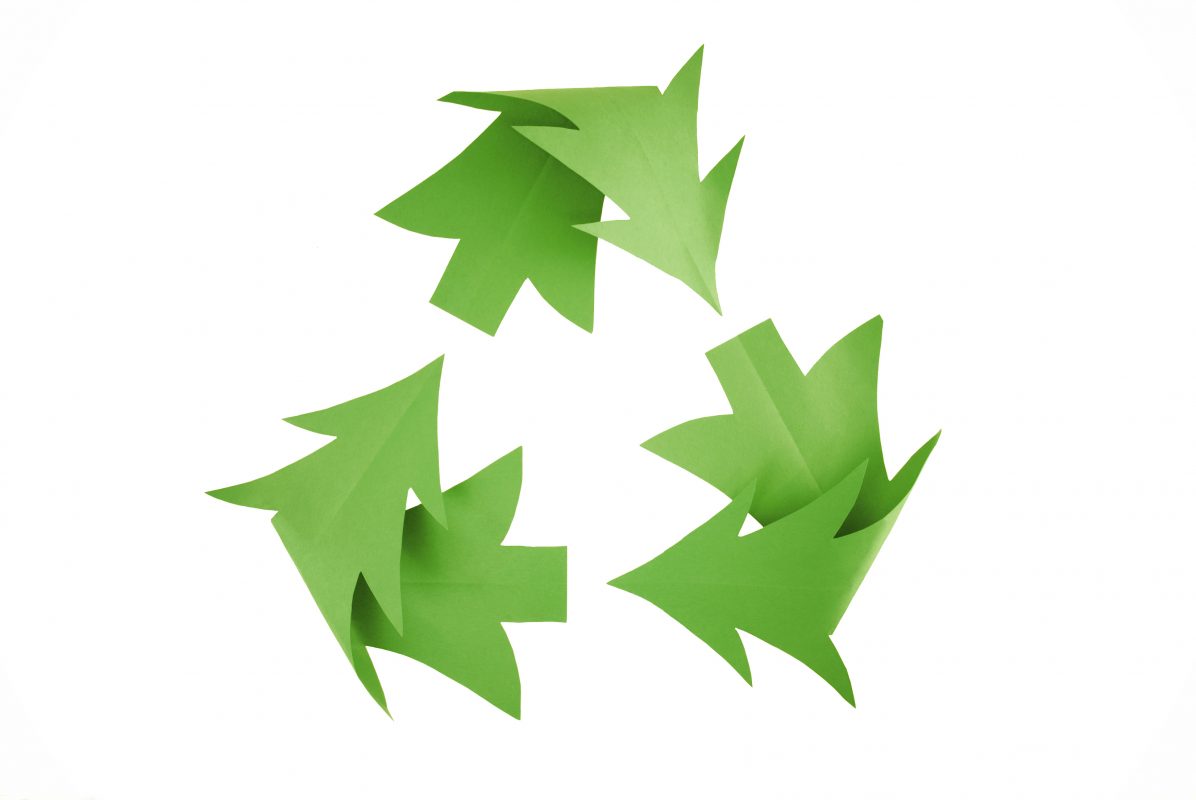 Binn Group News Article